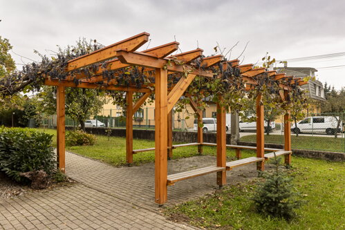 drevená pergola